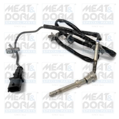Sensor, exhaust gas temperature